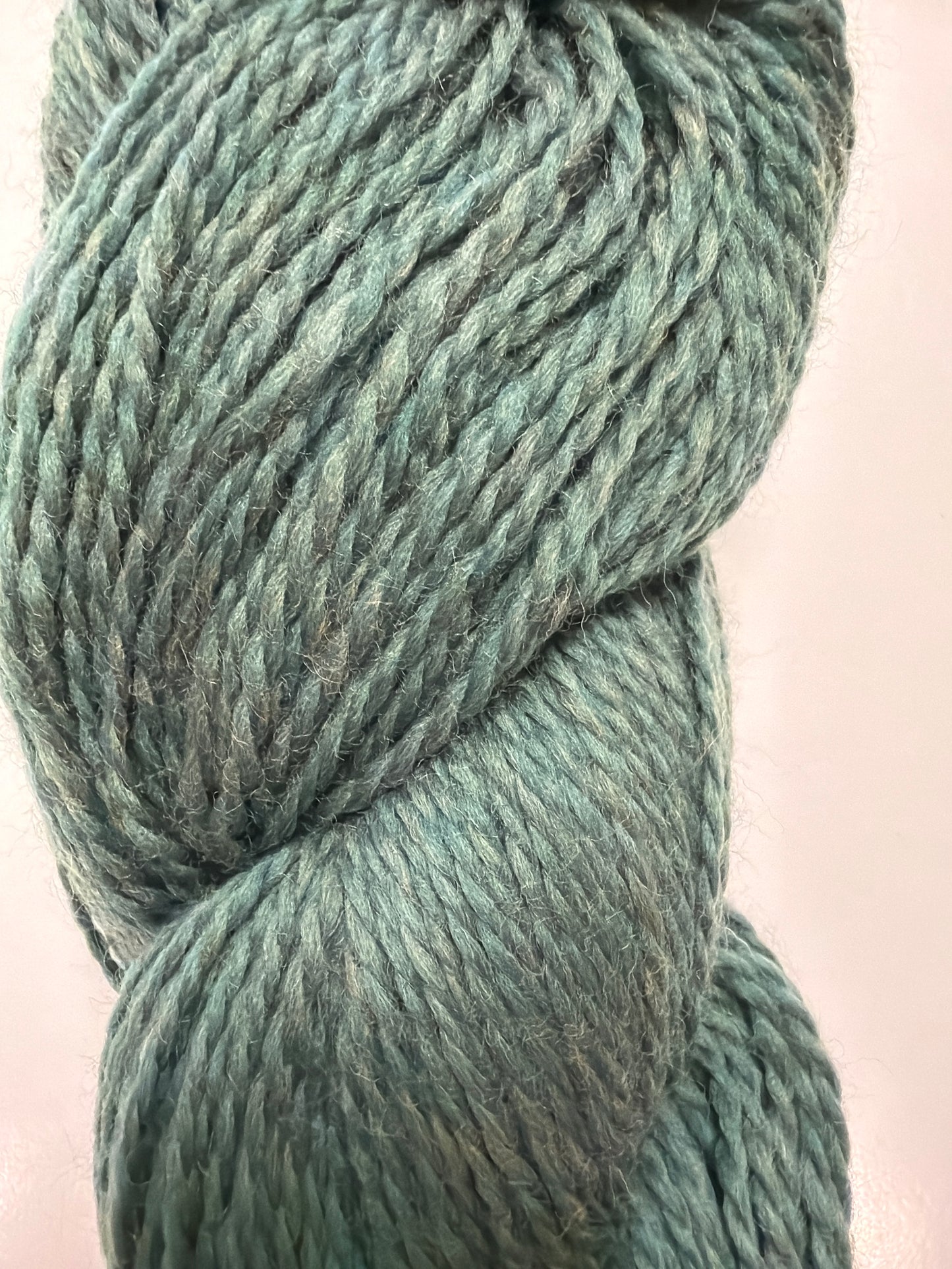Juniper Moon - Rambouillet