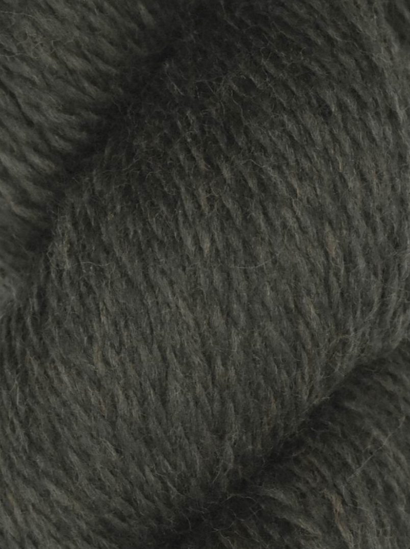 Juniper Moon - Rambouillet